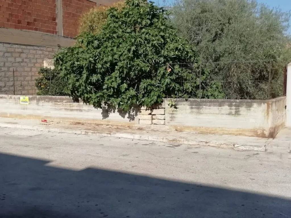 immagine annuncio 1 di 3