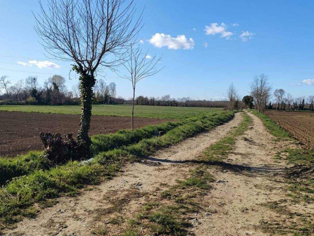 immagine annuncio 1 di 3