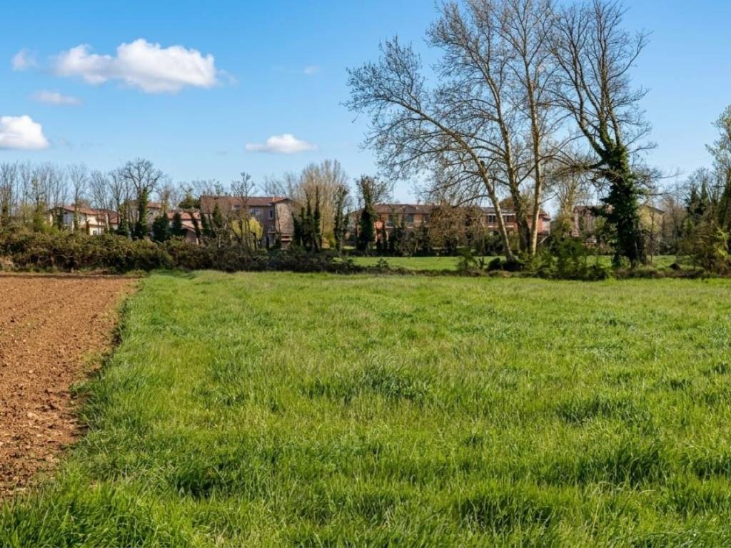 immagine annuncio 2 di 3