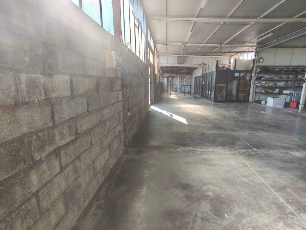 immagine annuncio 2 di 5