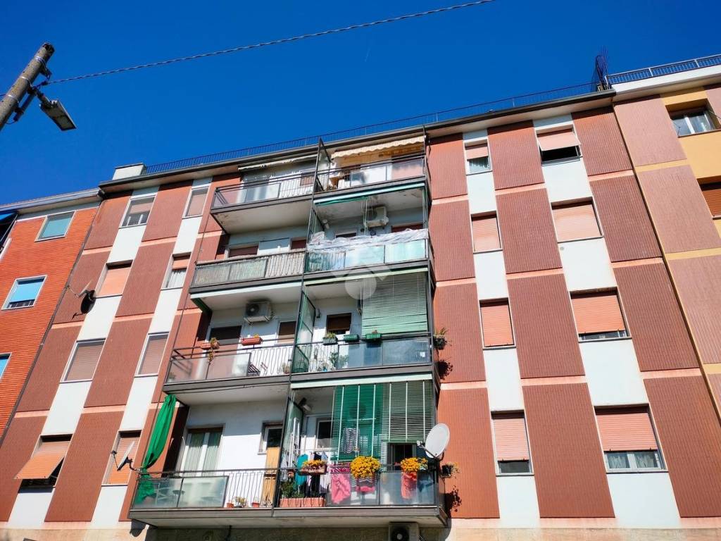 immagine annuncio 1 di 2