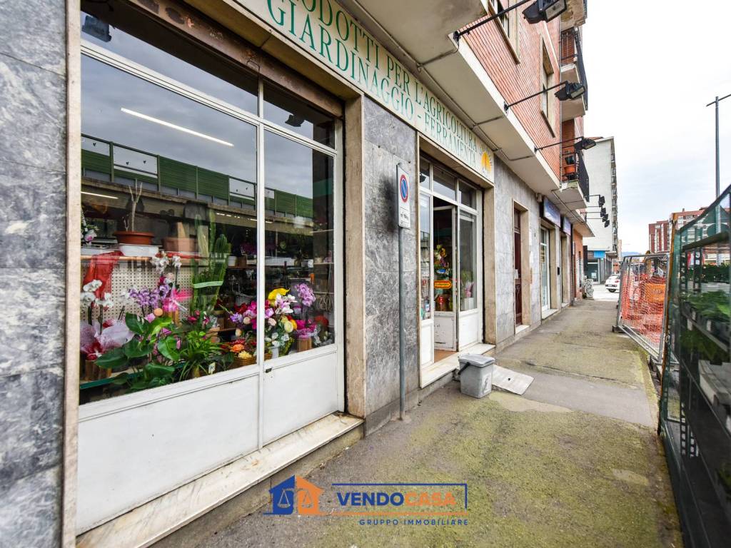 immagine annuncio 1 di 5