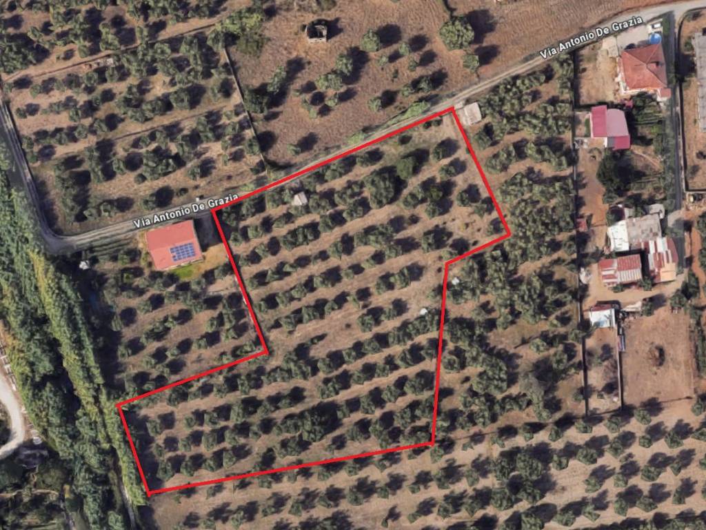 immagine annuncio 1 di 2