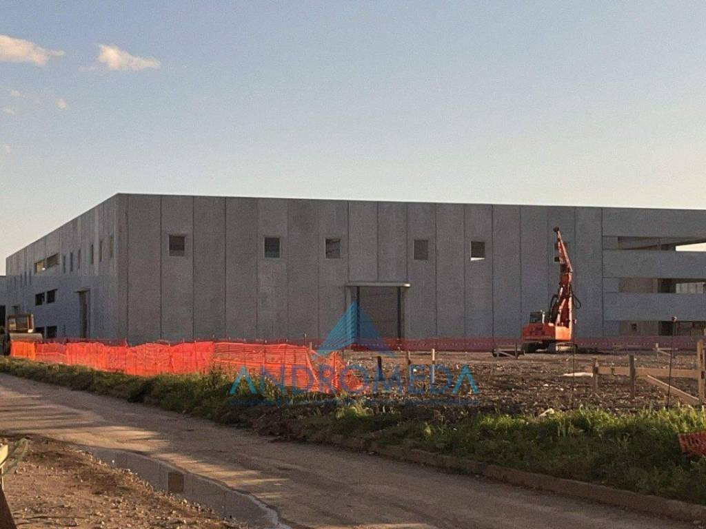 immagine annuncio 4 di 5