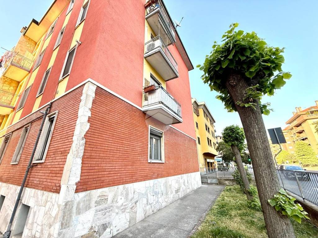 immagine annuncio 1 di 5