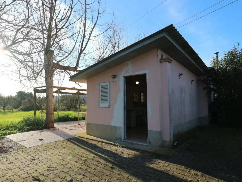 immagine annuncio 2 di 5