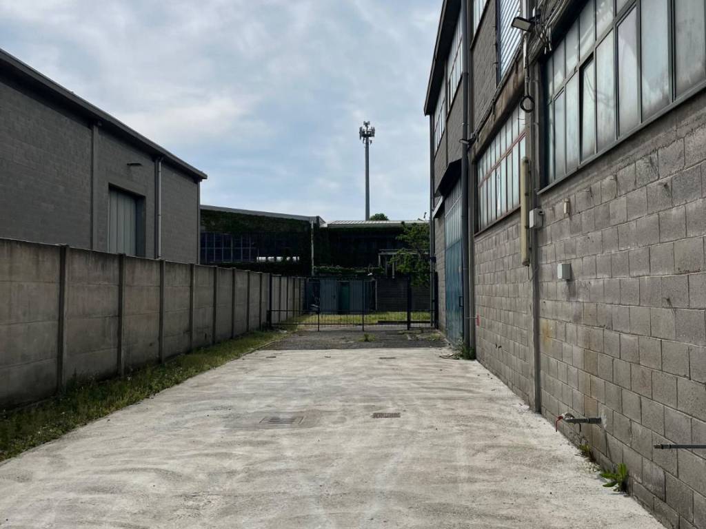 immagine annuncio 2 di 5