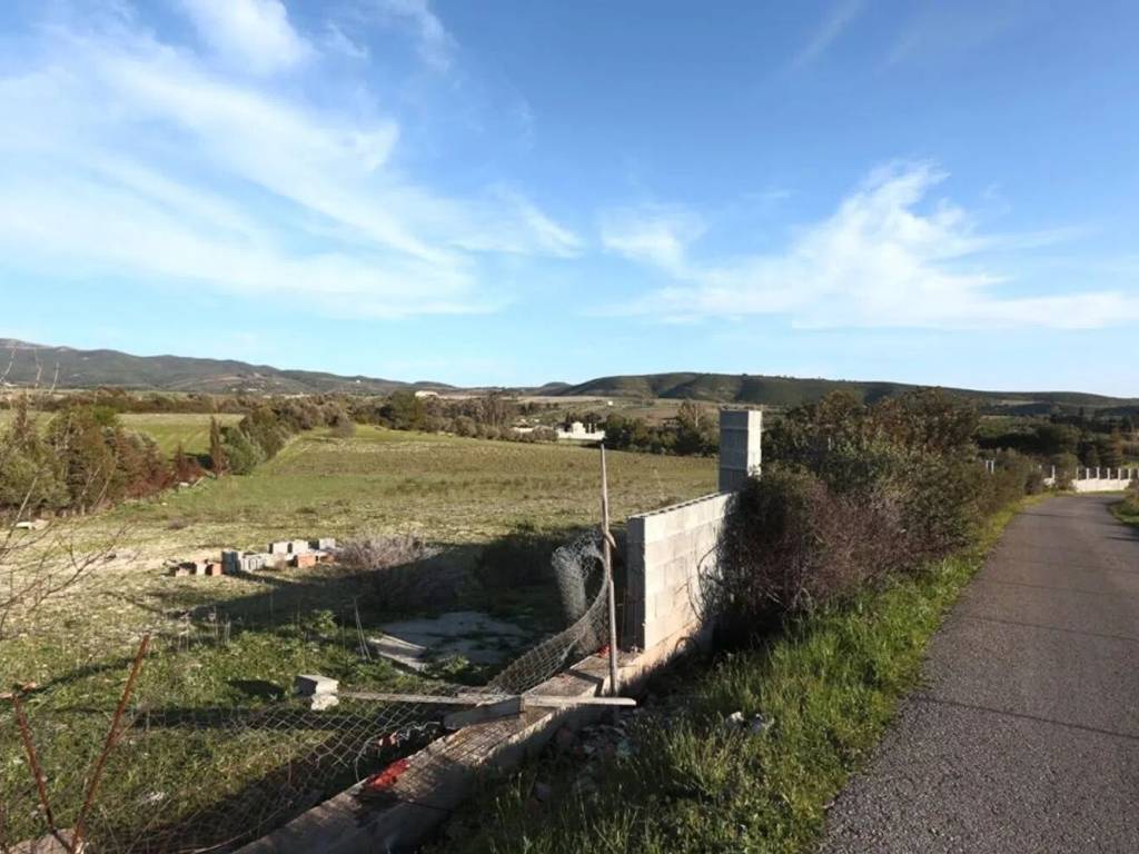 immagine annuncio 2 di 4