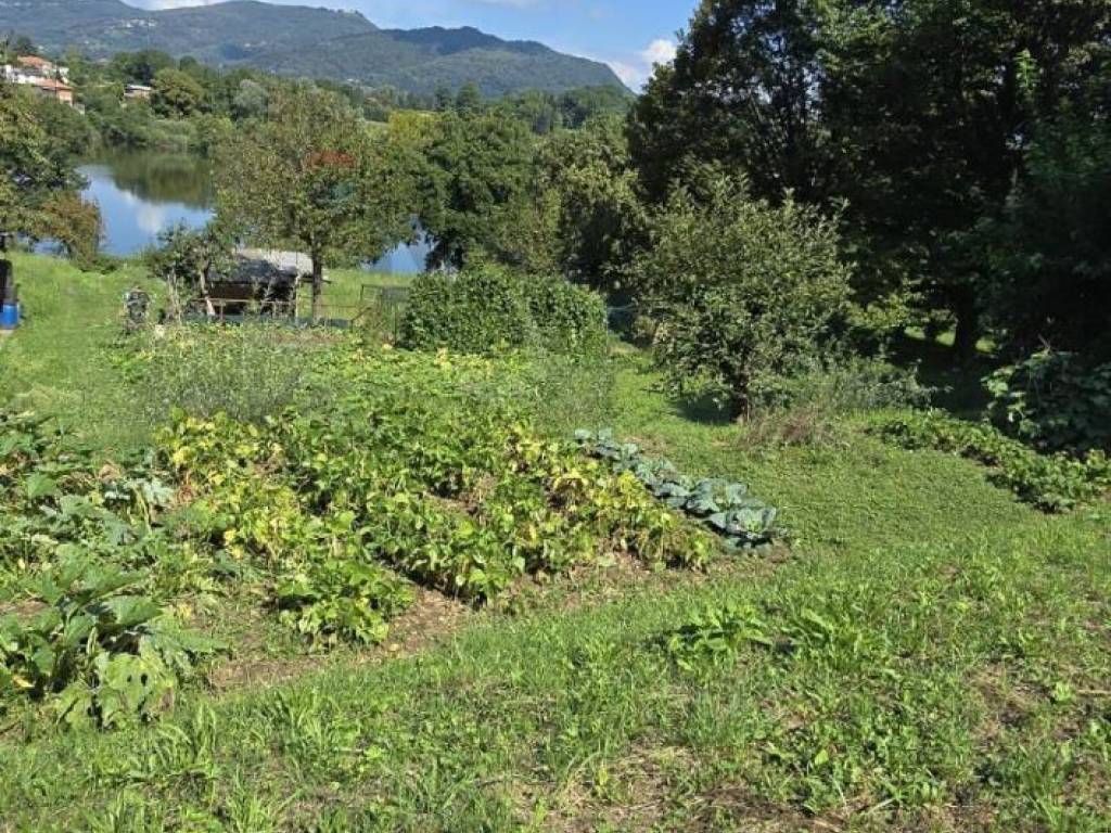 immagine annuncio 1 di 4