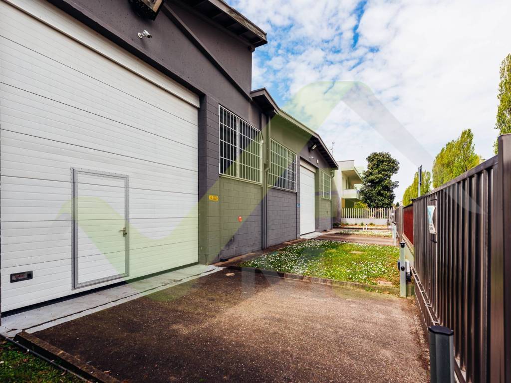 immagine annuncio 2 di 5