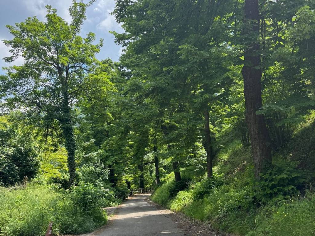 immagine annuncio 1 di 4