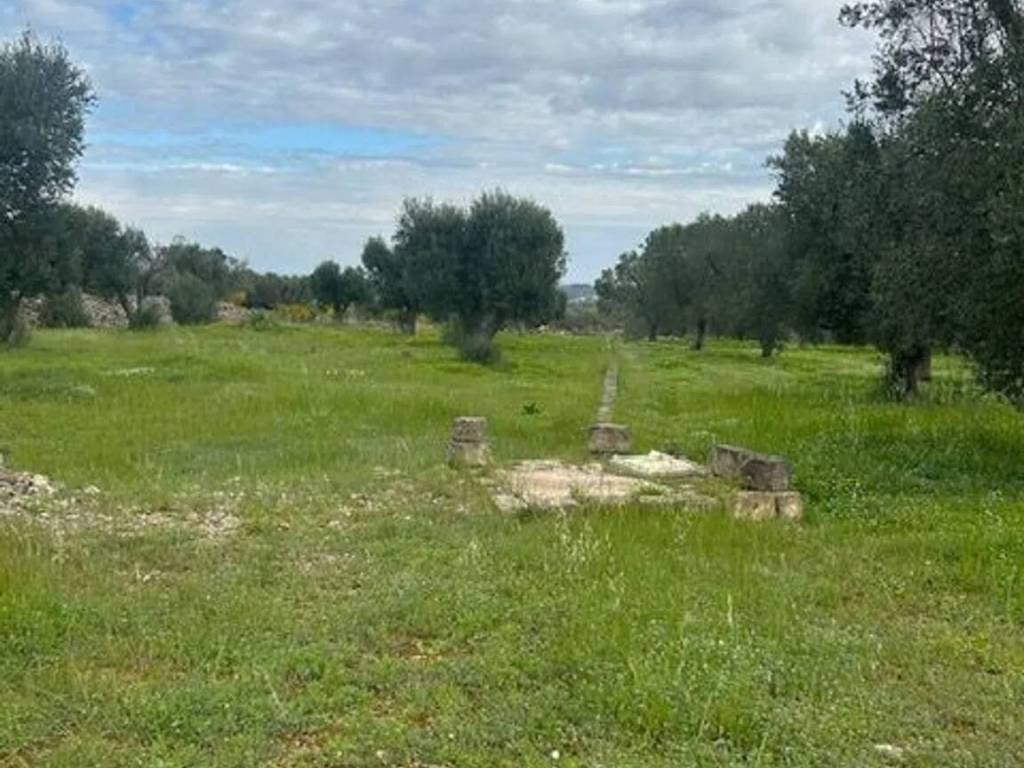 immagine annuncio 2 di 3