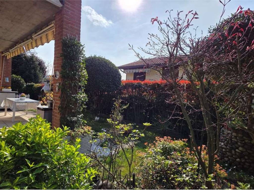 immagine annuncio 2 di 5