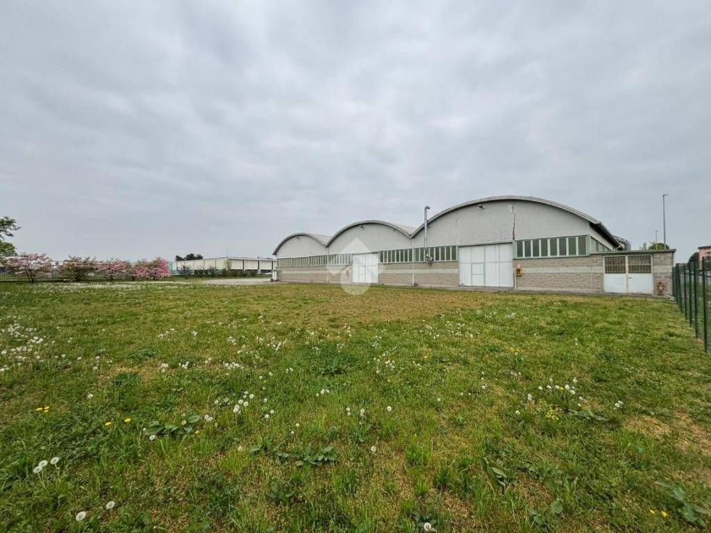 immagine annuncio 3 di 5