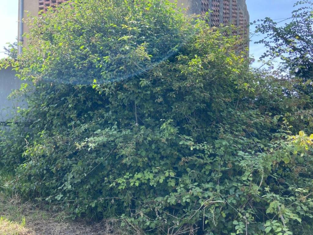 immagine annuncio 1 di 2