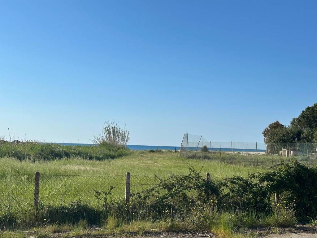 immagine annuncio 1 di 2