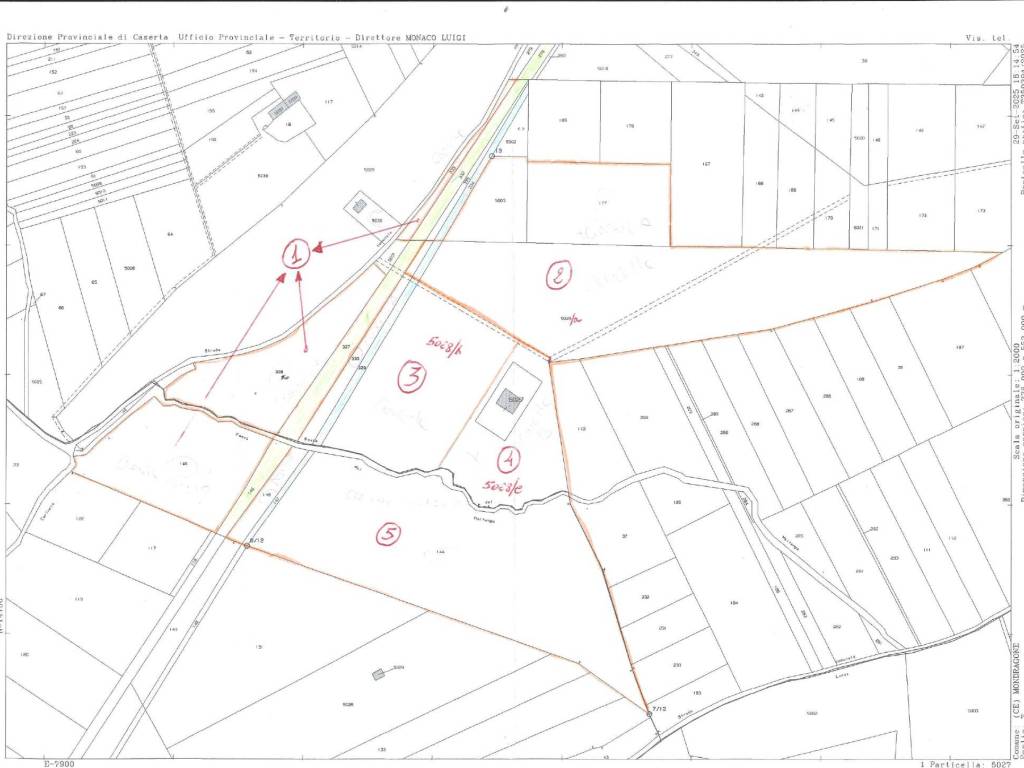 immagine annuncio 1 di 3