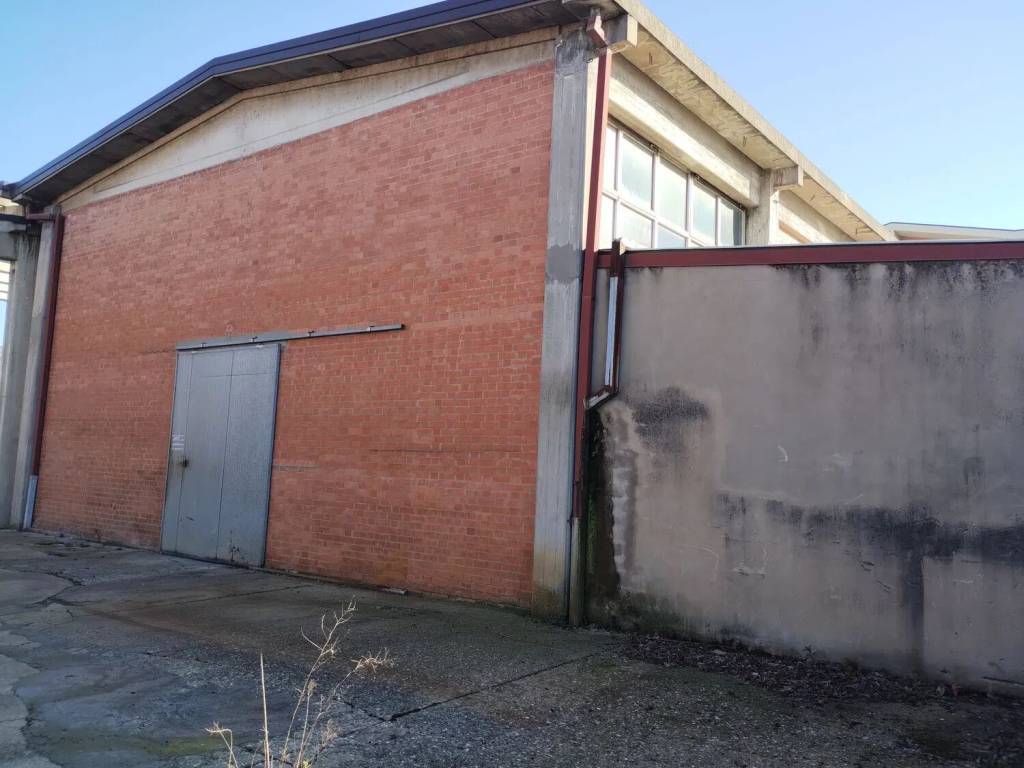 immagine annuncio 1 di 4