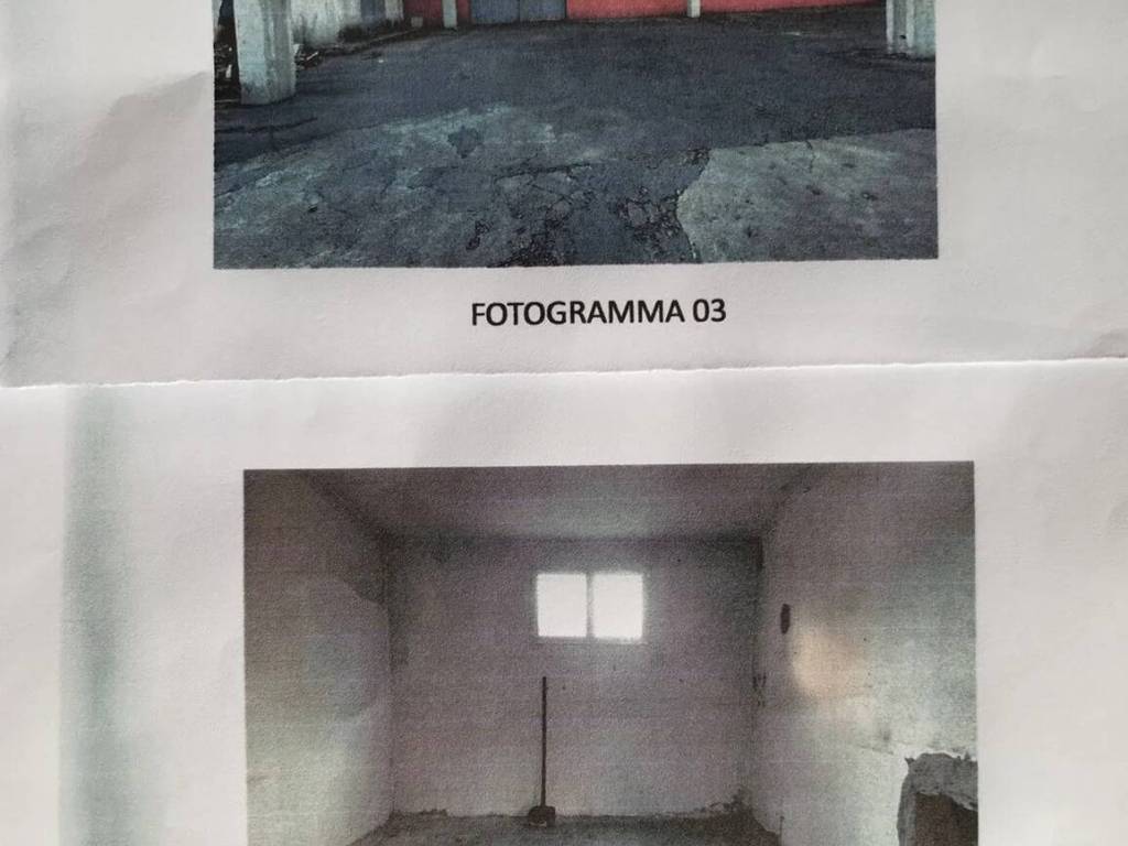 immagine annuncio 2 di 4