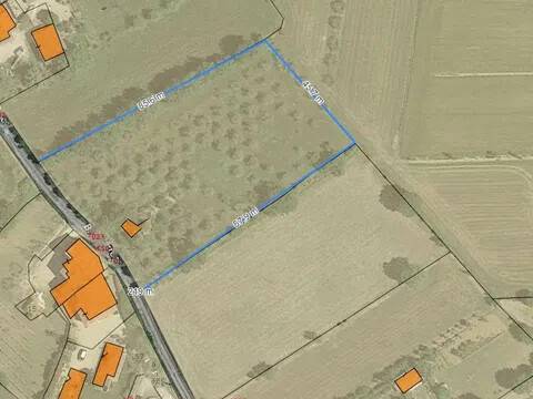 immagine annuncio 2 di 3