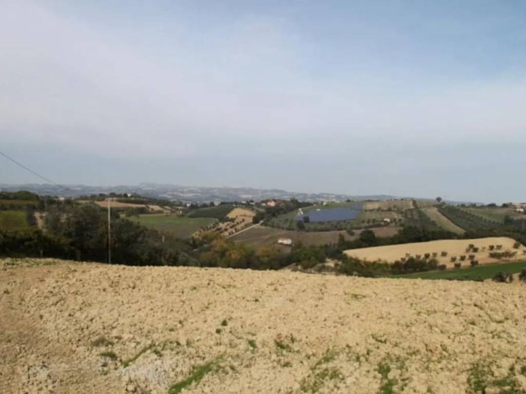 immagine annuncio 1 di 2