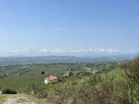 immagine annuncio 1 di 3