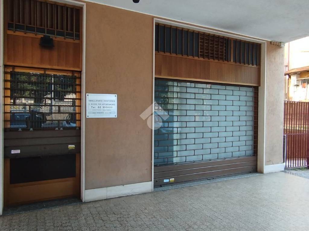 immagine annuncio 4 di 5