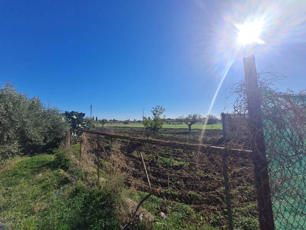 immagine annuncio 1 di 3