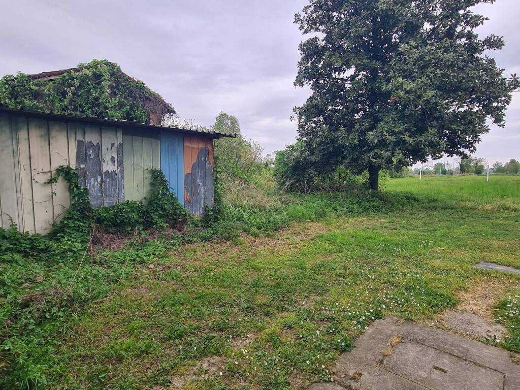 immagine annuncio 1 di 4