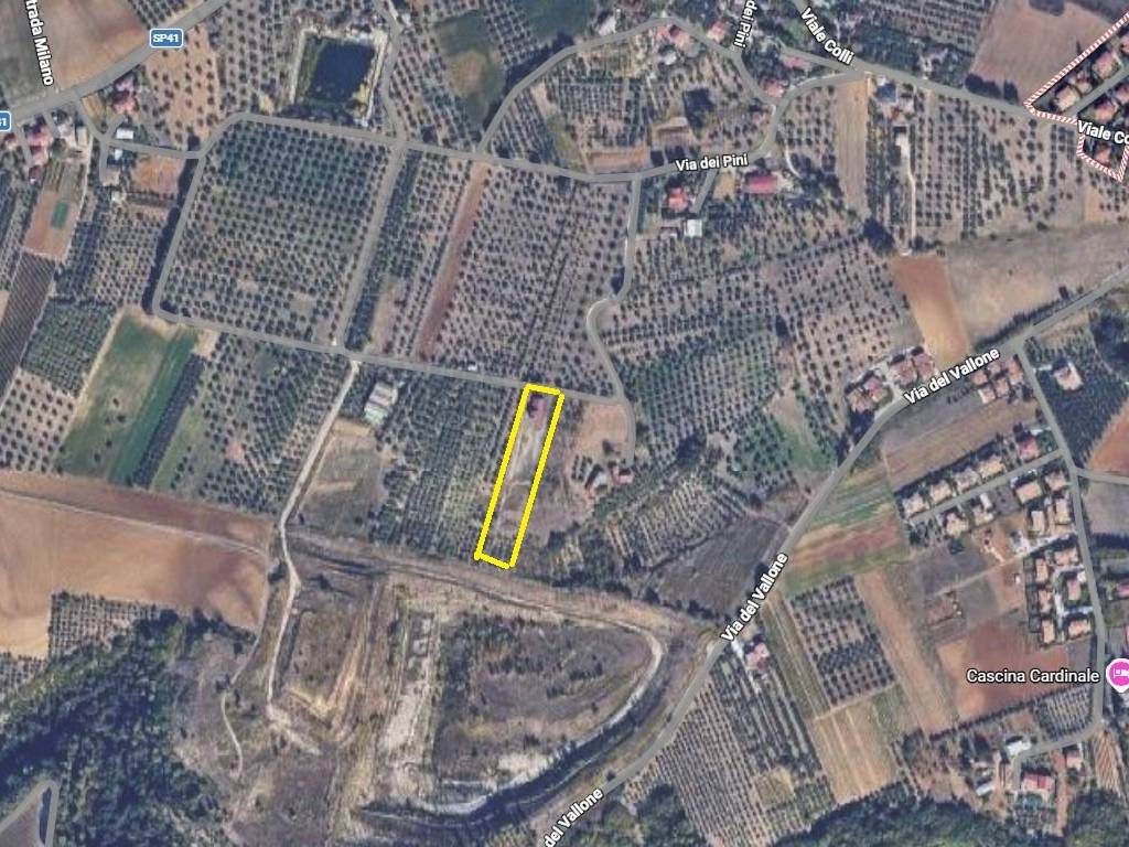 immagine annuncio 4 di 5