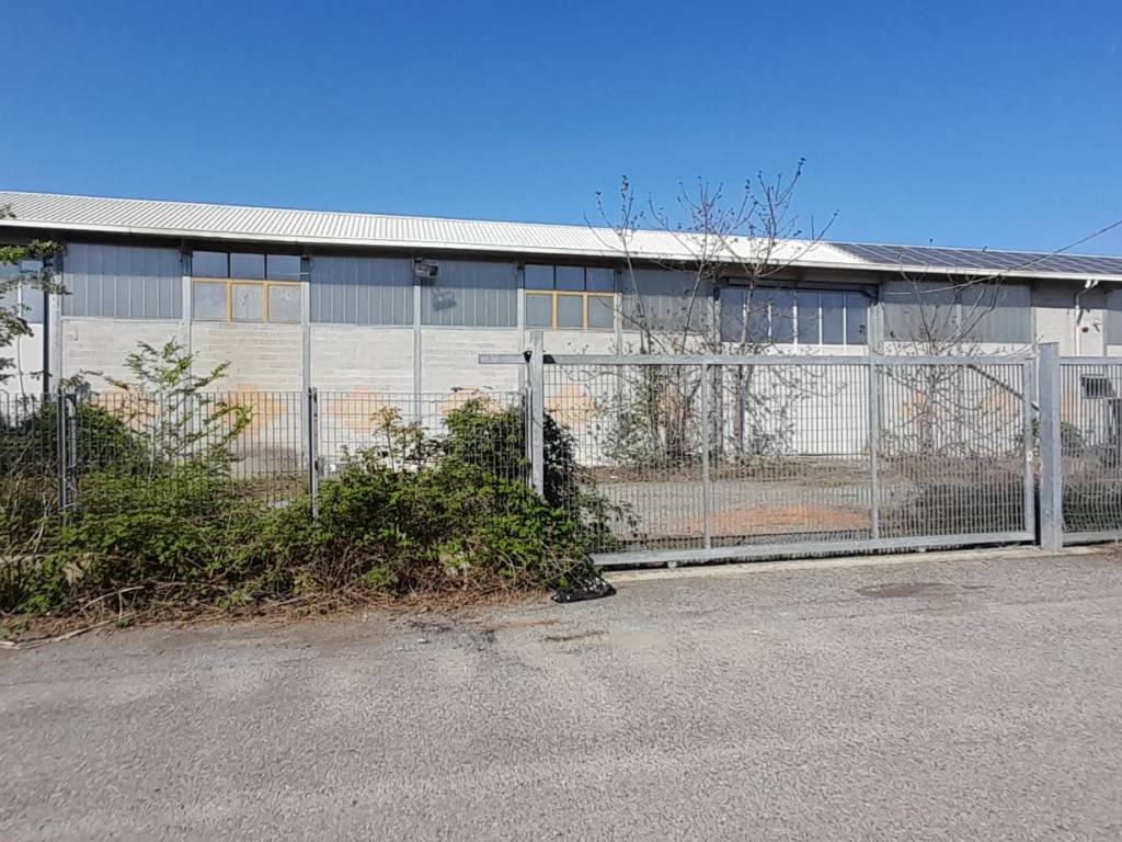 immagine annuncio 1 di 5