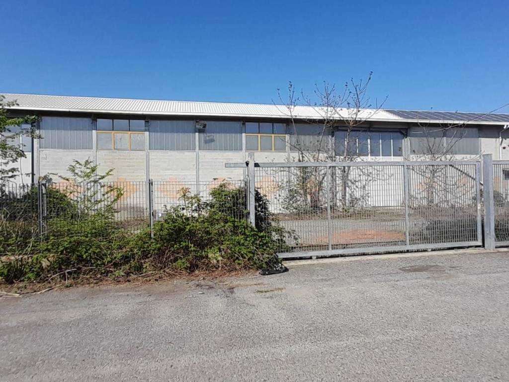 immagine annuncio 2 di 5