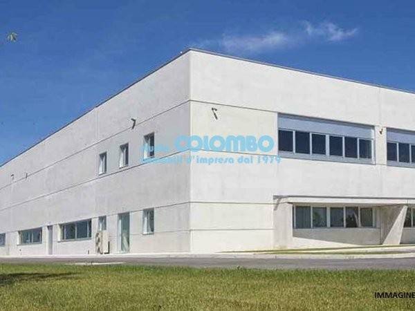 immagine annuncio 4 di 5