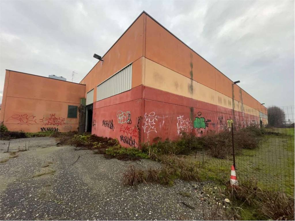 immagine annuncio 1 di 4