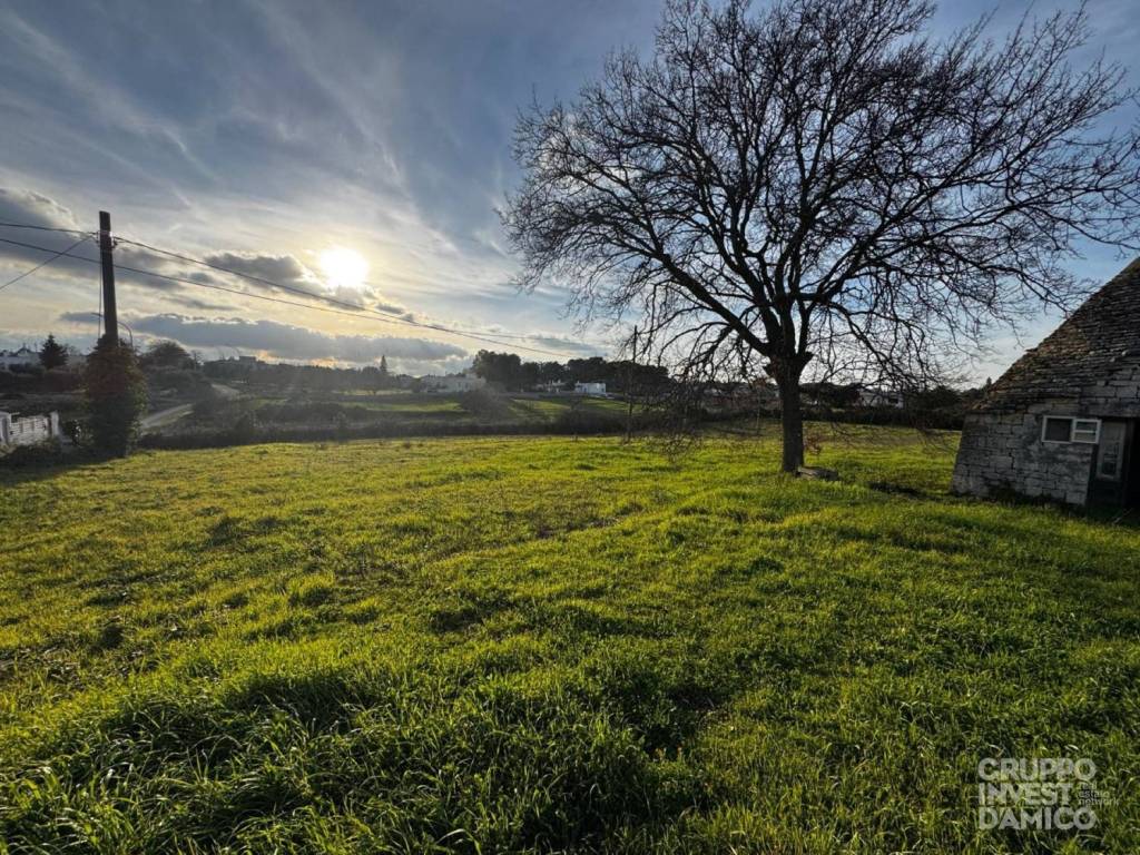 immagine annuncio 1 di 4