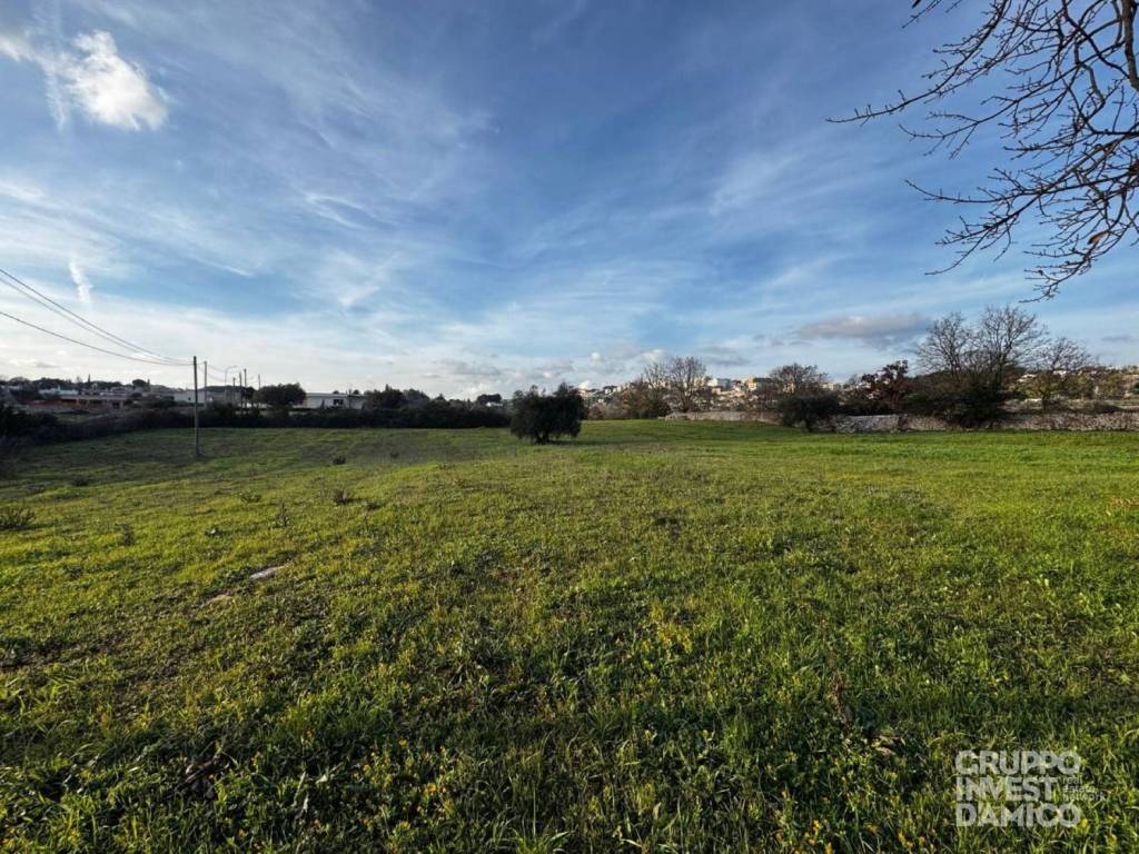 immagine annuncio 2 di 4