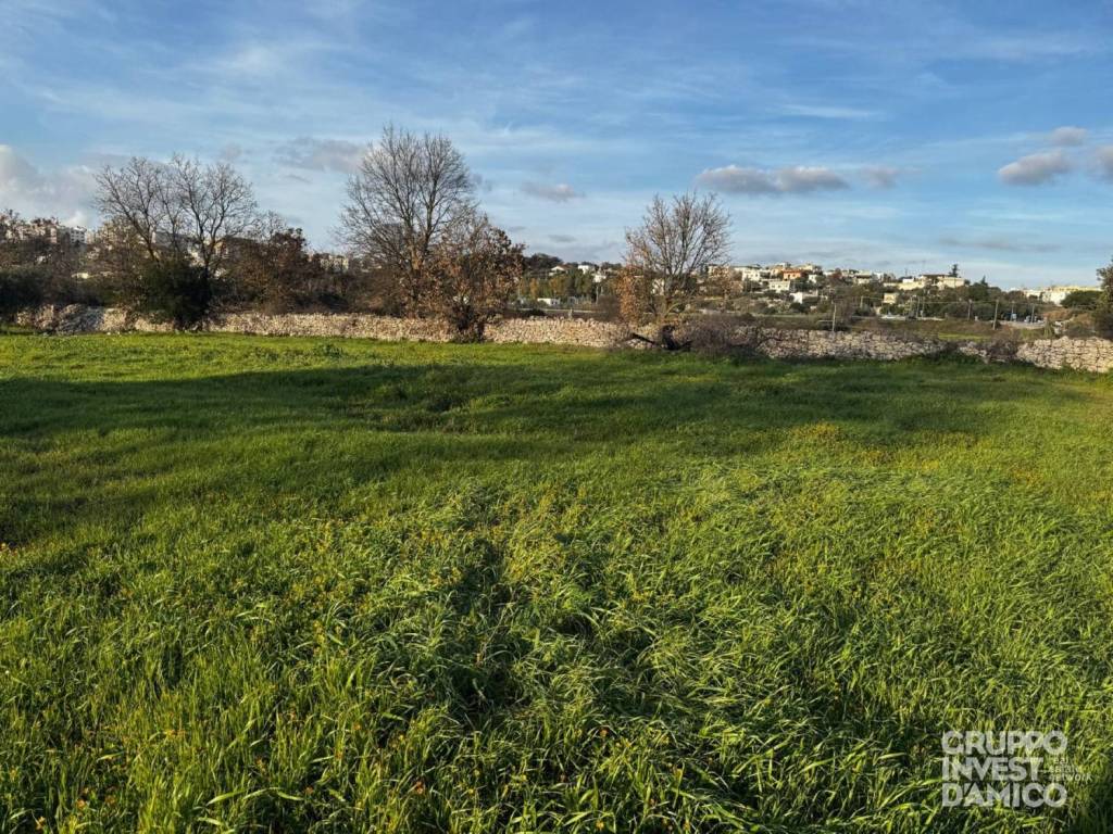 immagine annuncio 3 di 4