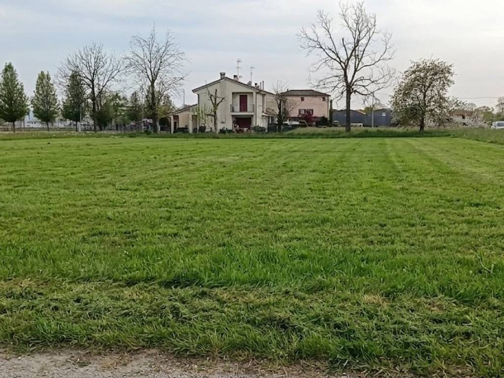 immagine annuncio 2 di 4