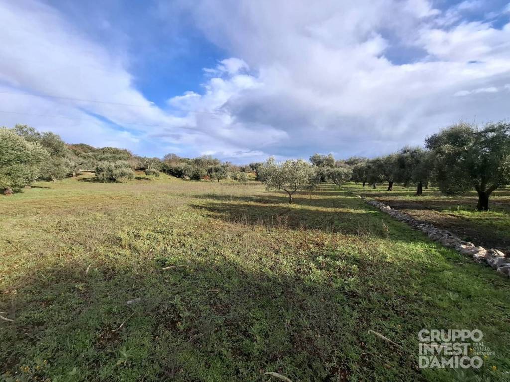 immagine annuncio 1 di 3