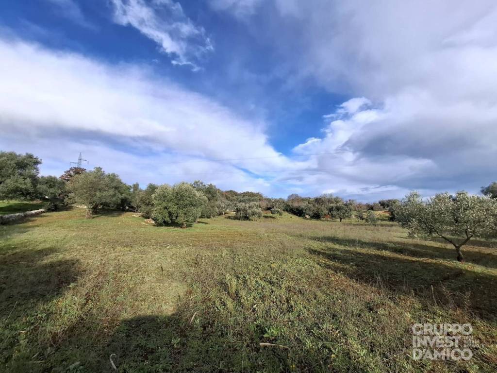 immagine annuncio 2 di 3