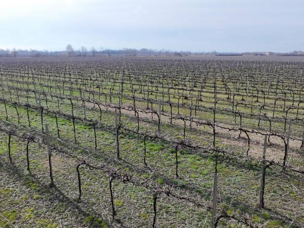 immagine annuncio 1 di 2