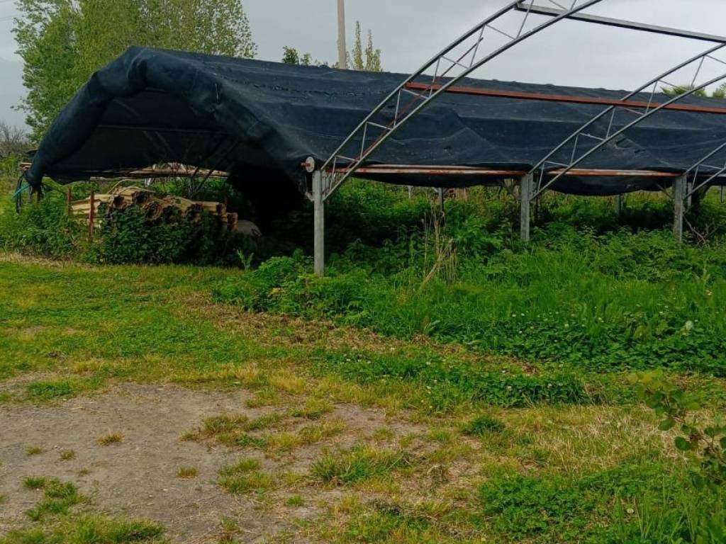 immagine annuncio 2 di 3