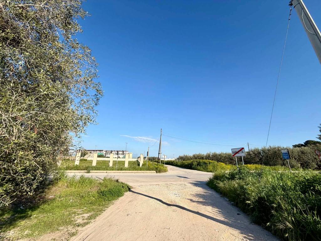 immagine annuncio 2 di 4