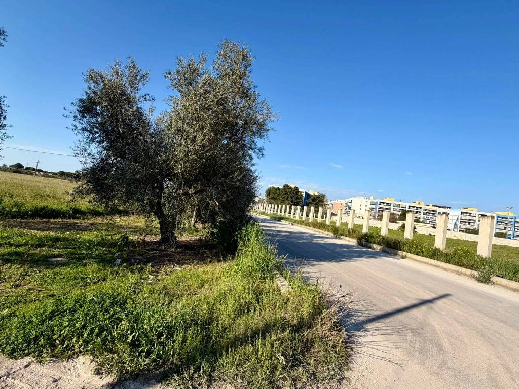 immagine annuncio 3 di 4