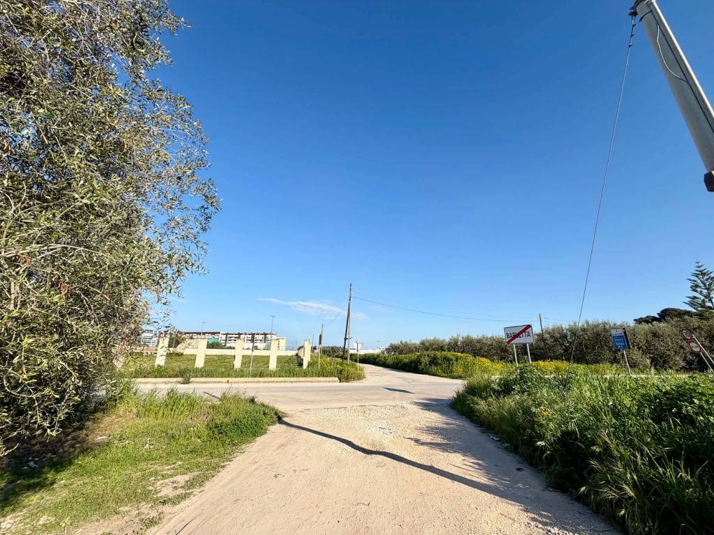 immagine annuncio 1 di 4