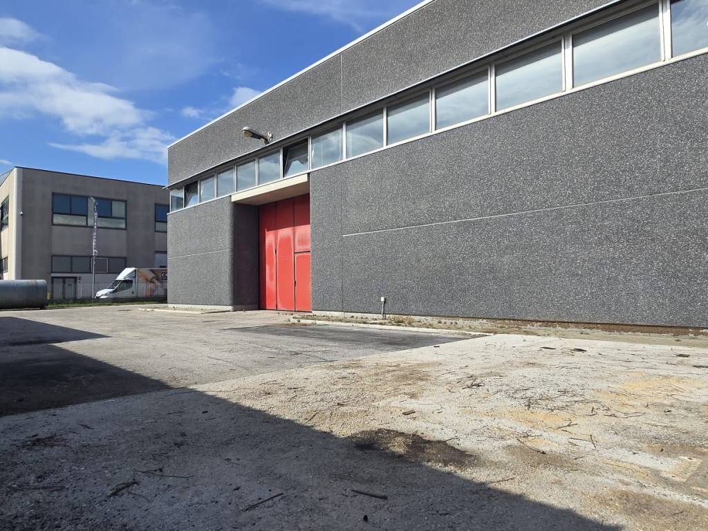 immagine annuncio 1 di 5