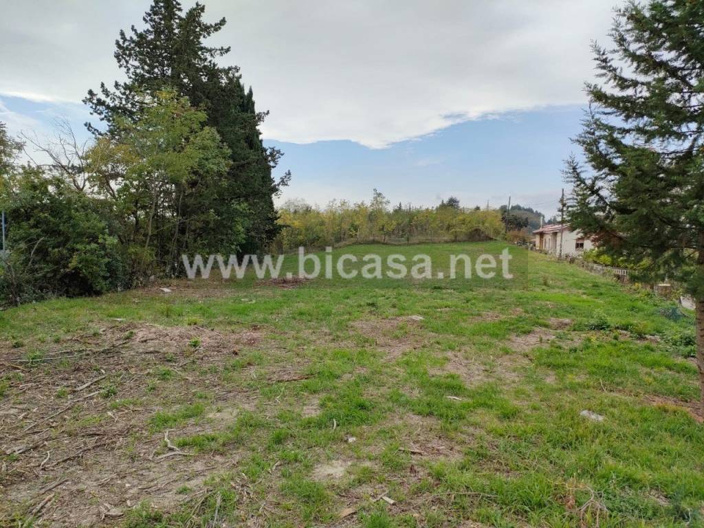 immagine annuncio 3 di 4