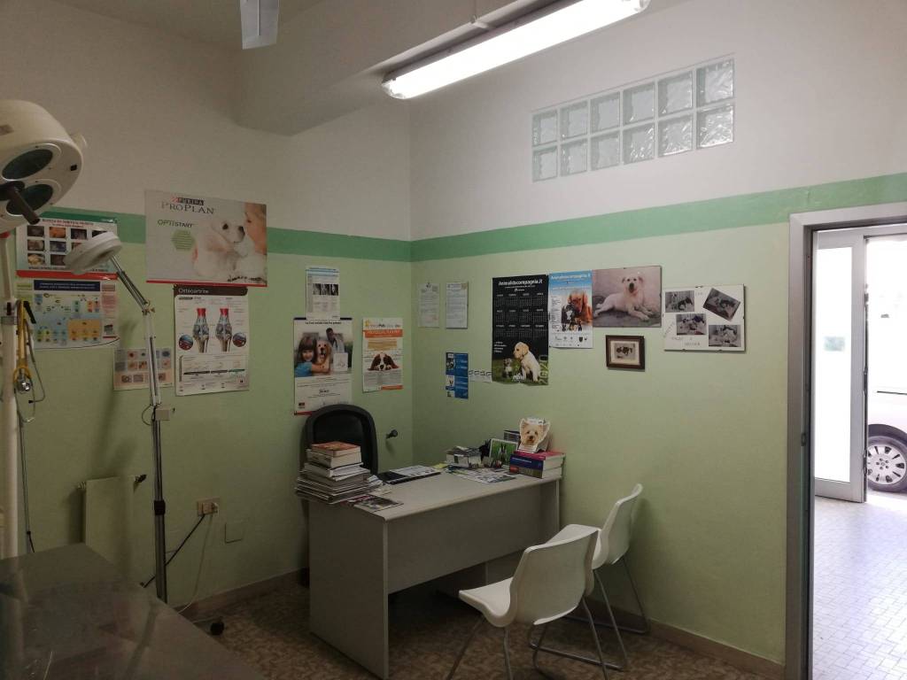 immagine annuncio 1 di 2