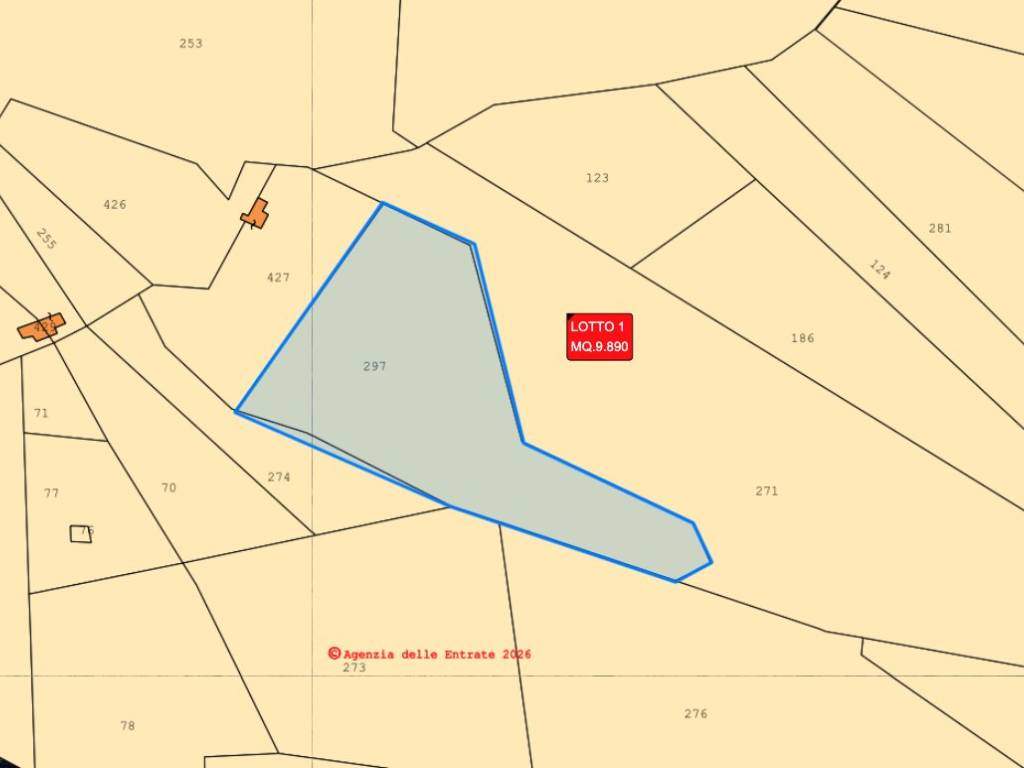 immagine annuncio 2 di 5