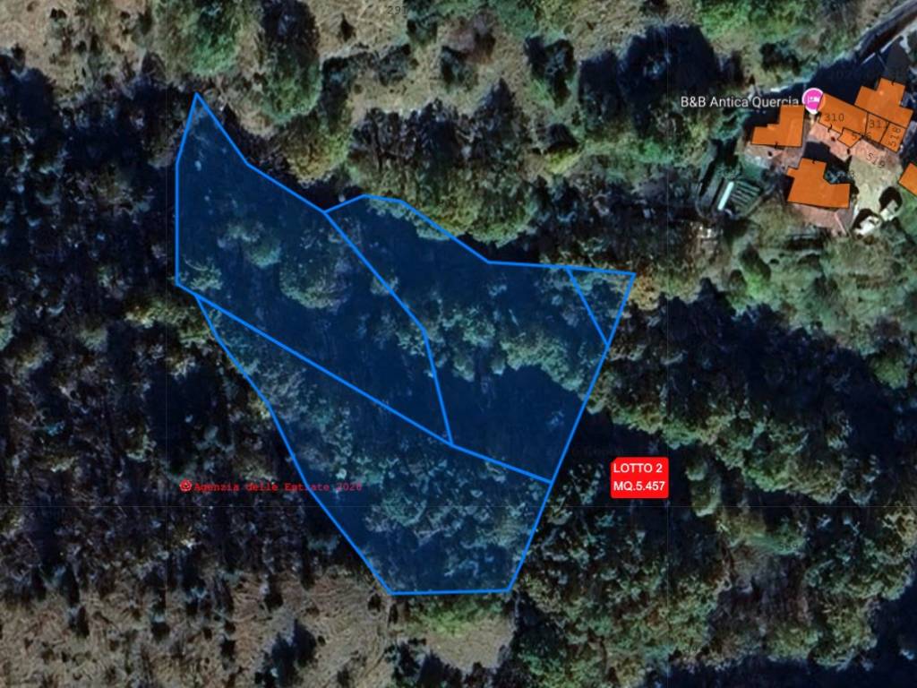 immagine annuncio 4 di 5